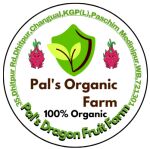 Pal's Dragon Fruit Farm