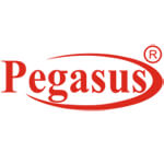 Pegasus Turnkey Solution (OPC) Pvt. Ltd