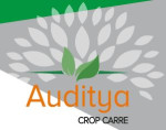 chennai/auditya-crop-carre-10332406 logo