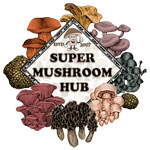 Super Mushroom Hub Private Limited