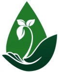 sundargarh/saanjivanii-taatva-10799294 logo