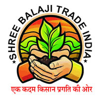 udaipur/shree-balaji-trade-india-university-road-udaipur-10814933 logo