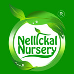 Nellickal nursery