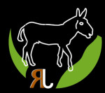 RJ Donkey Farm