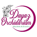 Dayaz Orchidarium