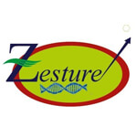 Zesture Healthcare