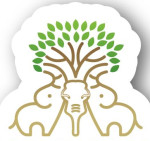 ahmedabad/triple-elephant-corporation-llp-vejalpur-ahmedabad-11888648 logo