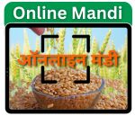 Online Mandi