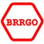 brrgo metallices india pvt ltd