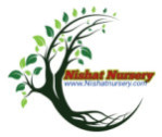 north-24-parganas/nishat-nursery-12383478 logo