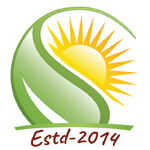 Mern Stack Development Course