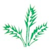 delhi/sugandha-farms-and-nursery-alipur-delhi-1244752 logo