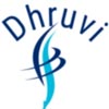 hyderabad/dhruvi-solutions-india-pvt-ltd-12458208 logo