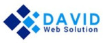 David Web Solution