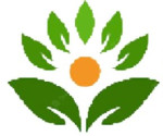 raigarh/spal-trading-pvt-ltd-lailunga-raigarh-12544992 logo