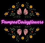 Pampasdaisyflowers