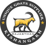 ajmer/unique-goats-supplier-12653478 logo