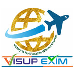pune/visup-exim-12913218 logo