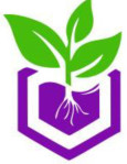 pune/aaradhya-nursery-fursungi-pune-13009243 logo