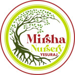 Mirsha nearsery garden