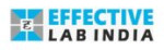 Effective Lab India