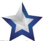 BLUE STAR POWER INDIA