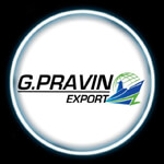 G.PRAVIN EXPORT