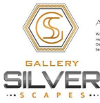 Gallery Silver Scapes