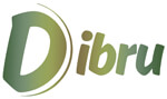 Dibru Enterprises Overseas