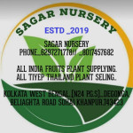 SAGAR NURSERY