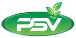 PSV EXPORT