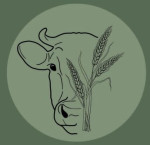 bhubaneswar/manoj-dairy-14047289 logo