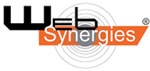 Web Synergies India Pvt ltd