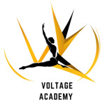 Voltage Academy