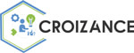 Croizance Business LLP