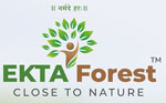 IEKTA FOREST PRODUCTS LLP