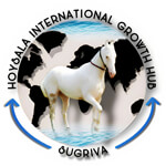 Hoysala International Growth Hub