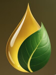 V3Ayurlife Pvt. Ltd.