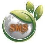 Sri Mahasakthi Global Corporation