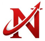 Nirbhay Global Trading Company