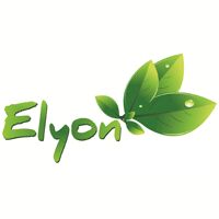 ELYON TRADERS LLP