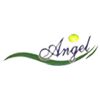 Angel Healthcare