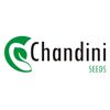 Chandiniseds