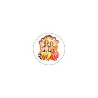 ahmedabad/laxmi-narayan-enterprise-bagodara-ahmedabad-2826141 logo
