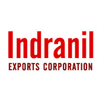 delhi/indranil-exports-corporation-mayur-vihar-delhi-2848756 logo