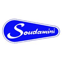 Saudamini Instruments