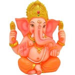 Shree Siddhi Vinayak Herbs