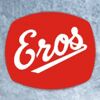 Eros Metal Works (P) Ltd.