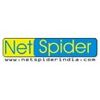 Netspider Infotech India Limited