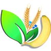 VARNIRAJ AGRO EXPORT